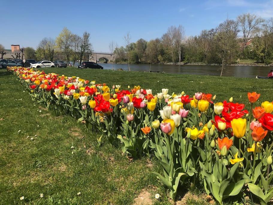 Ferienwohnung Um'S Eck Ochsenfurt Bagian luar foto